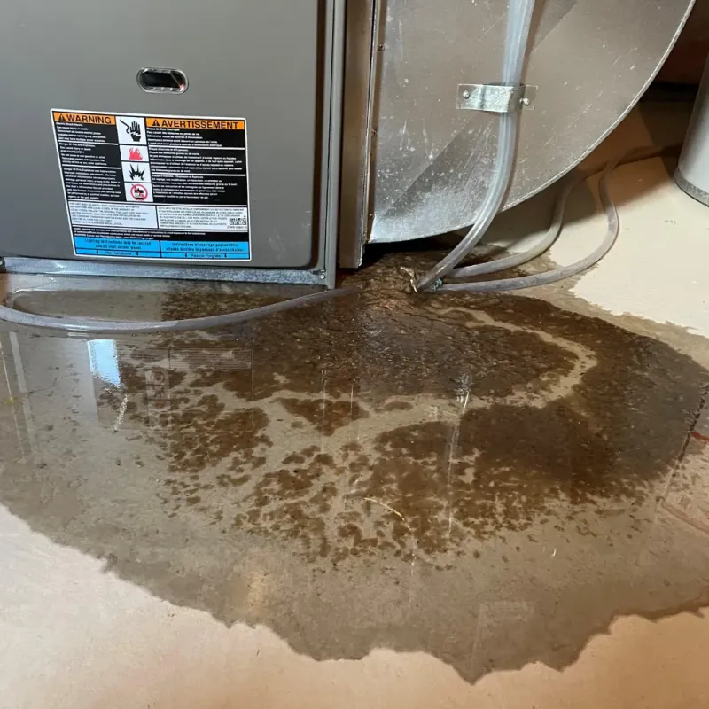 Appliance Leak Cleanup in Annville, KY