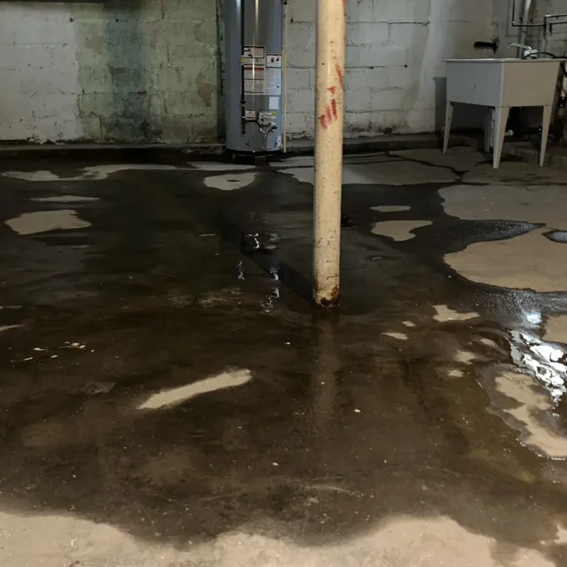 Emergency Water Extraction And Removal in Annville, KY